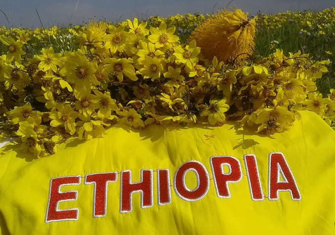 ©Tewodros Kassa, CC BY-SA 4.0 Wikimedia Commons
