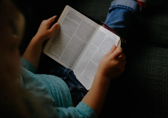 @Pixabay