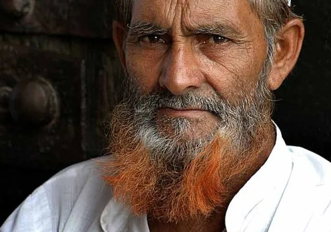 ©Wikimedia Commons/Steve Evans Citizen of the World/CC-BY-2.0