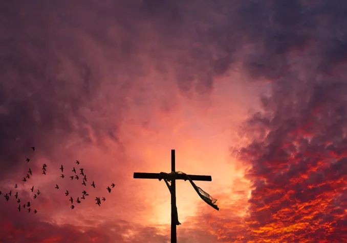 IStock