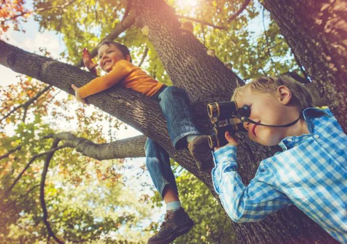 iStock