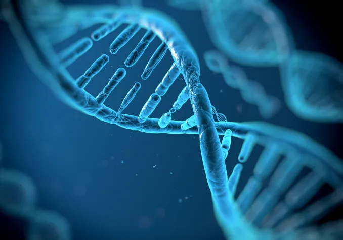 Une molécule d'ADN.