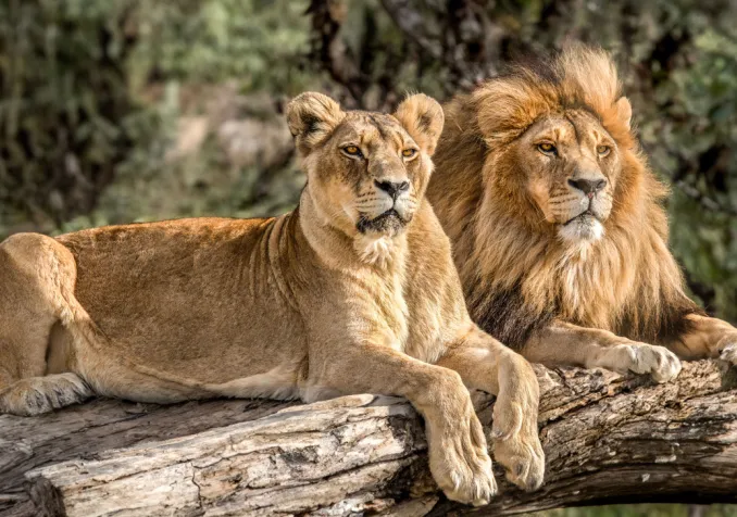 ©iStock