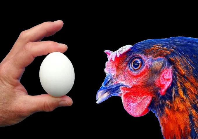 La question de la poule et de l’œuf: les paroisses meurent-elles parfois parce qu’on a créé les régions artificiellement à leurs dépens ou bien a-t-on voulu compenser la mort des paroisses en créant les régions? CC0 Papynoun / Pixabay