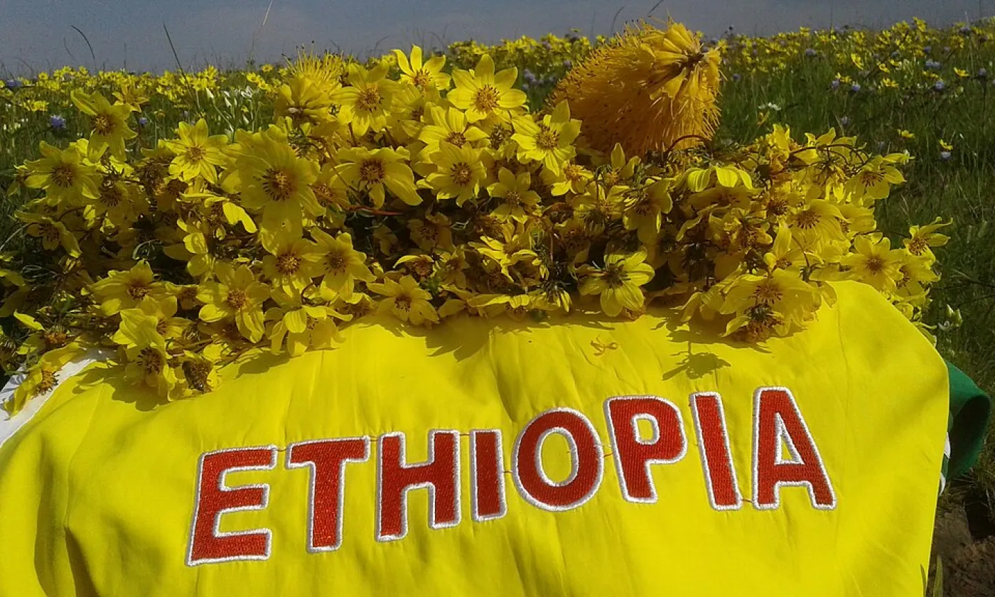 Arrangement pour le nouvel-an éthiopien avec des fleurs d'"adey abeba" ©Tewodros Kassa, CC BY-SA 4.0 Wikimedia Commons