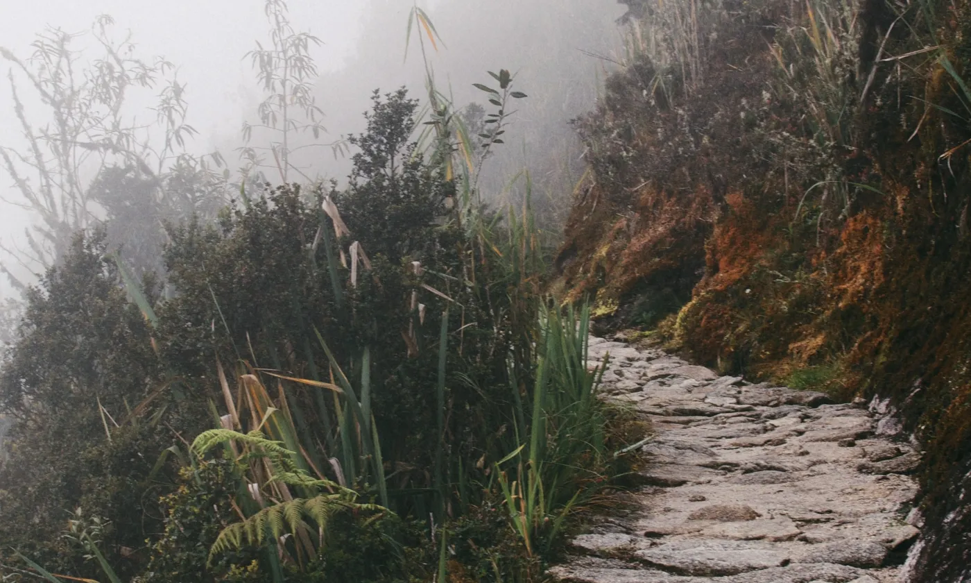 Le chemin pour se connaître n’est jamais arrêté ou limpide. © John Salzarulo / Unsplash