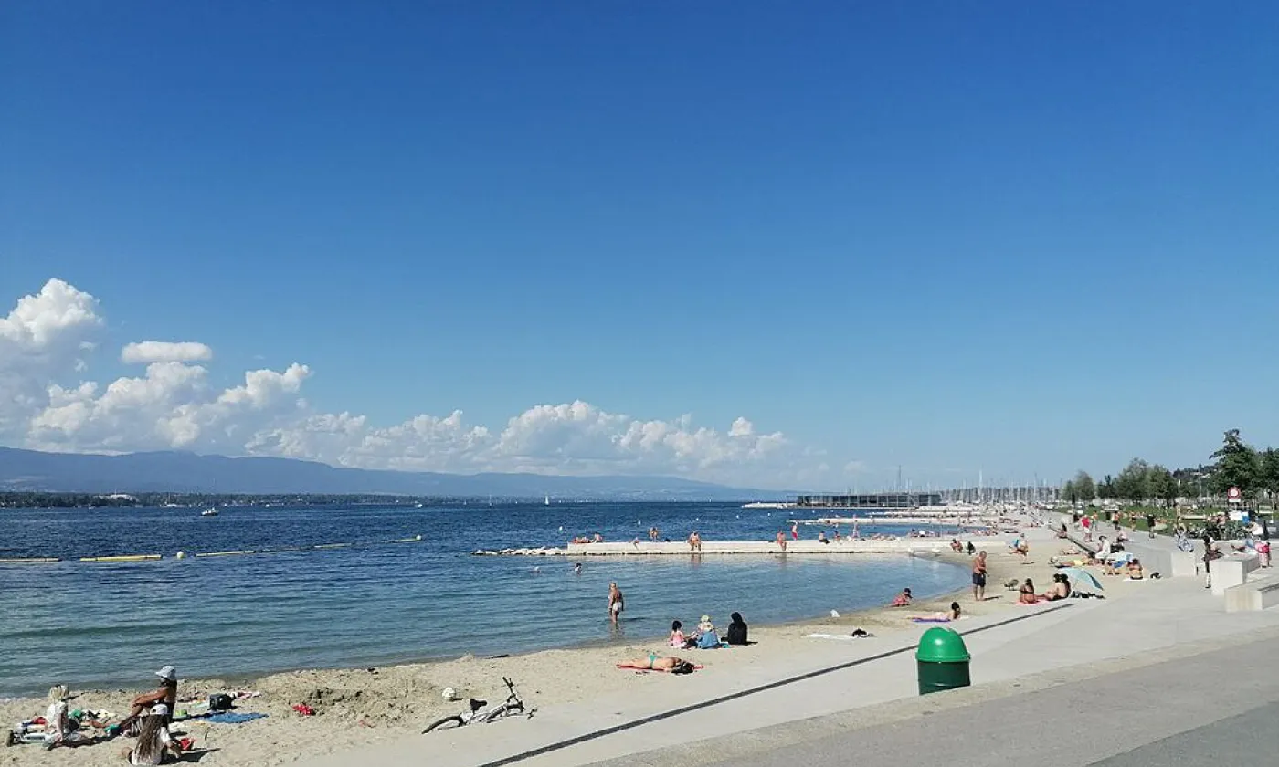 ©Marco de Freitas, CC BY-SA 4.0 Wikimedia Commons