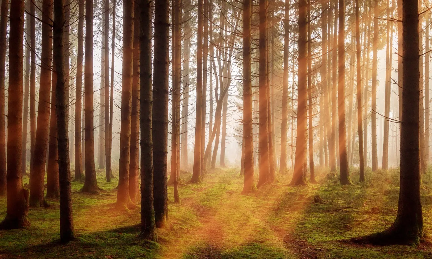 Rechercher le sens spirituel dans nos engagements écologiques ©Pixabay