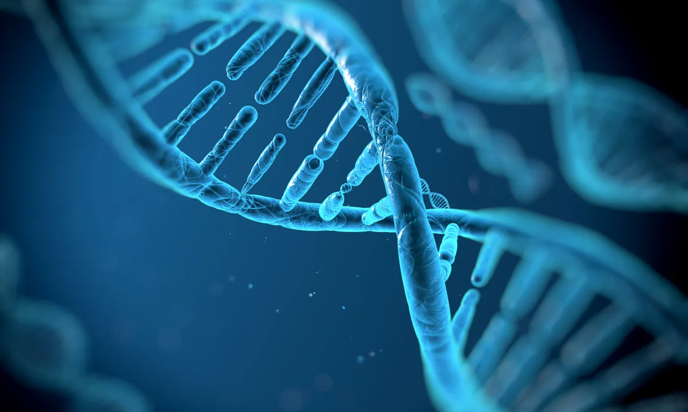 iStock/Svisio Une molécule d'ADN.