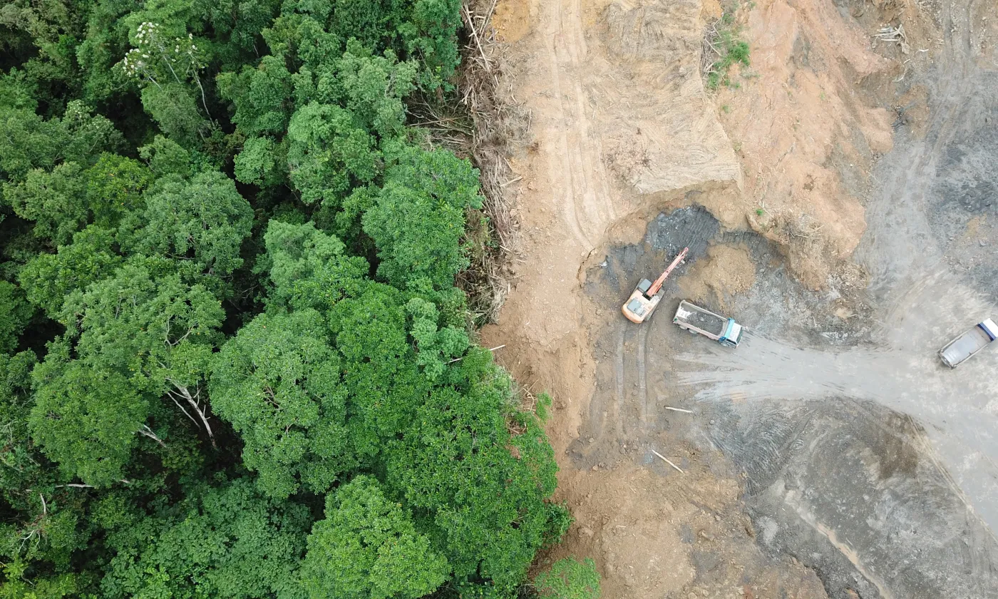 La déforestation silencieuse de l'Amazonie profite de la pandémie. IStock