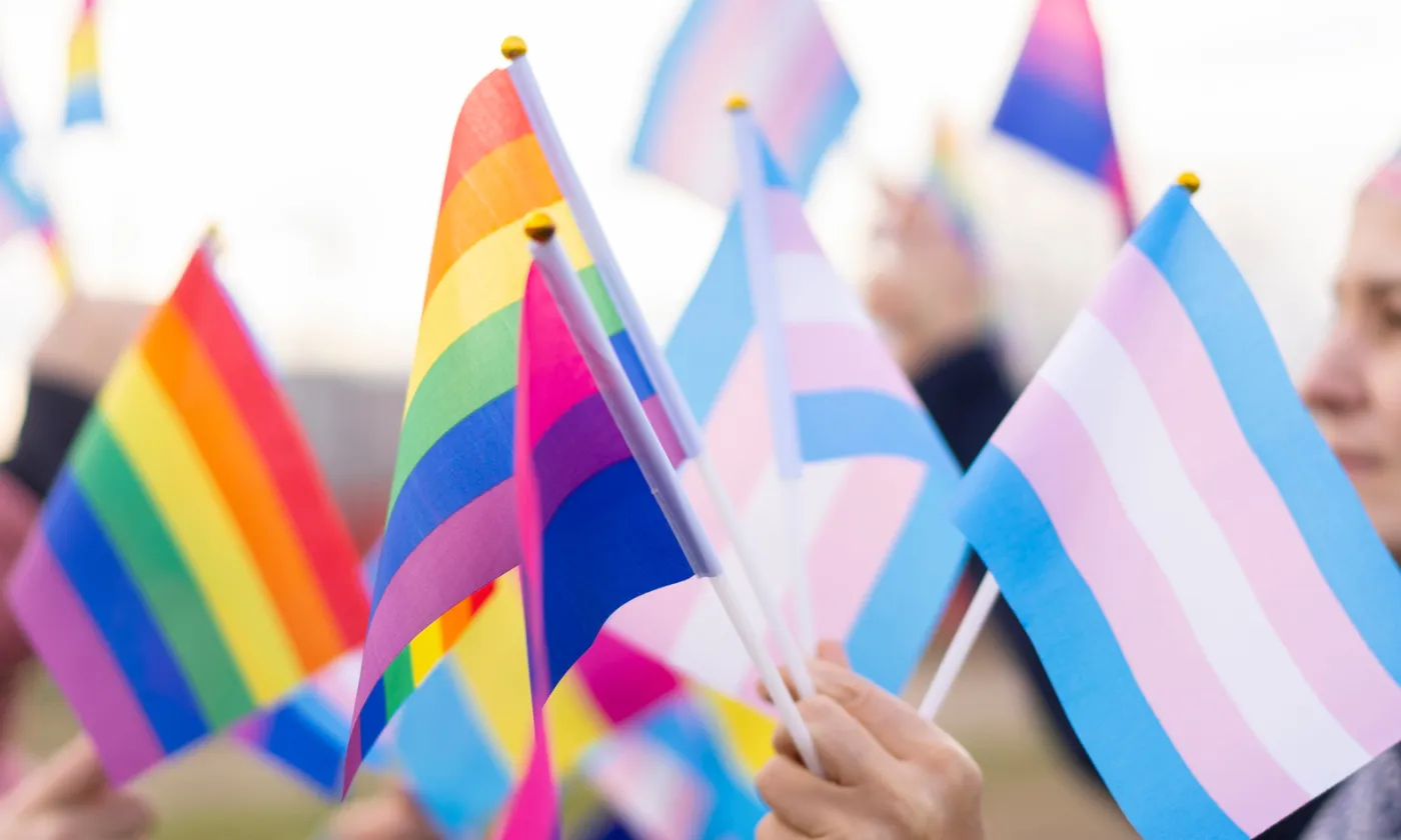Drapeaux trans, LGBTI, bi ©iStock