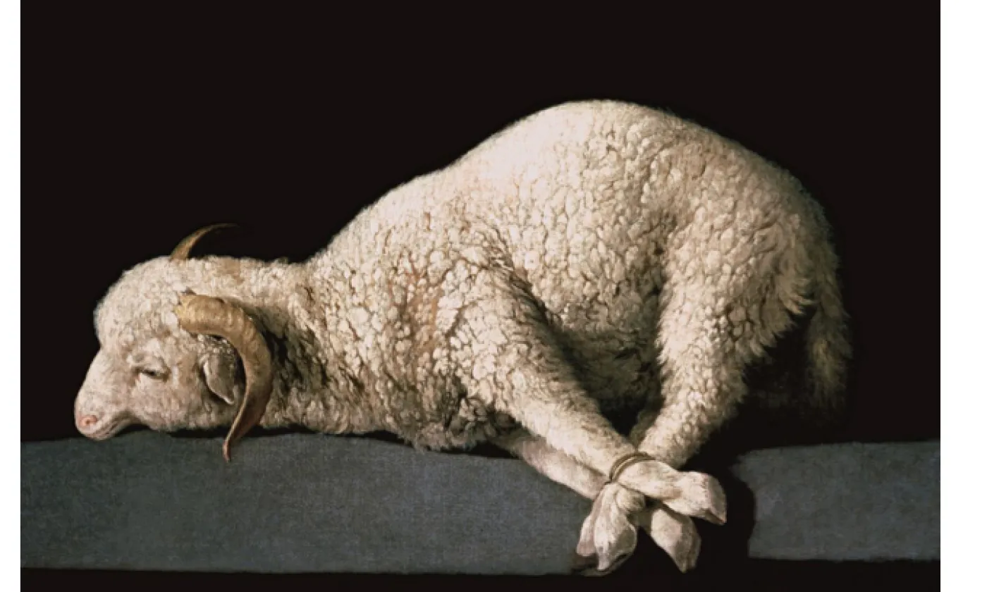 Agnus Dei de Francisco de Zurbarán DR