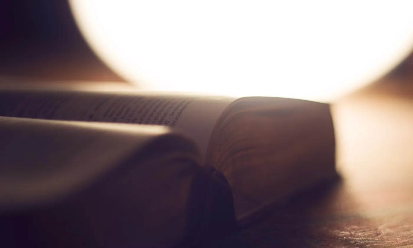 Que dit la Bible de l'homosexualité? Pixabay