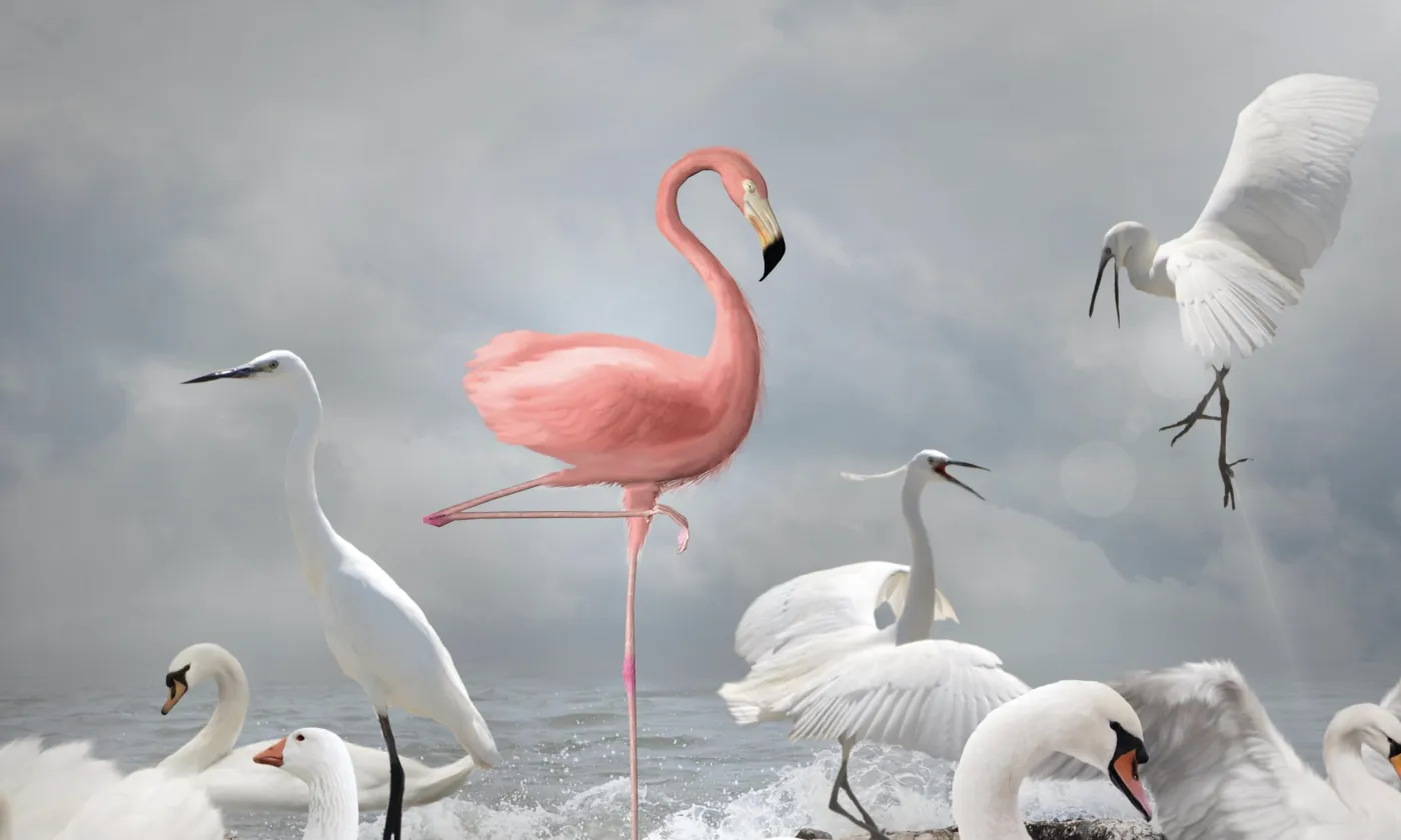 © Istock