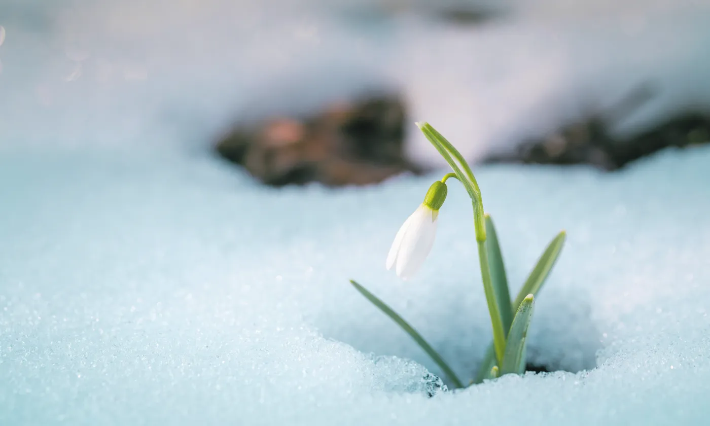 © iStock