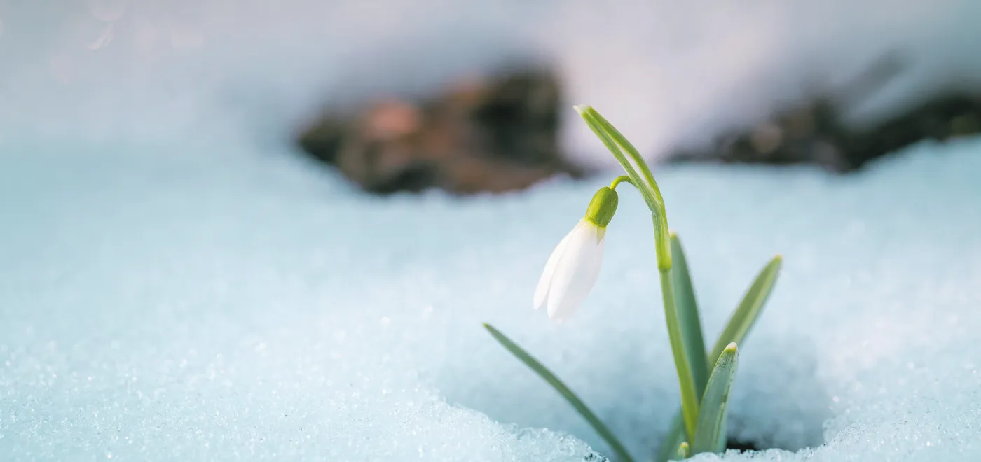 © iStock